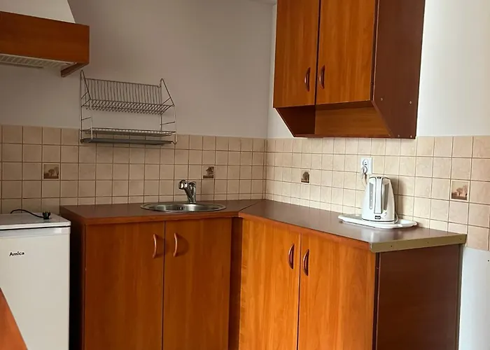 Bursztynowy Brzeg 萨比诺瓦